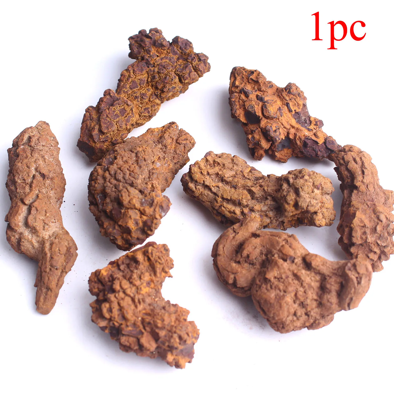 

1PC Dinosaur Animal Faeces Fossil Coprolite Fossilized Poop mineral Specimen
