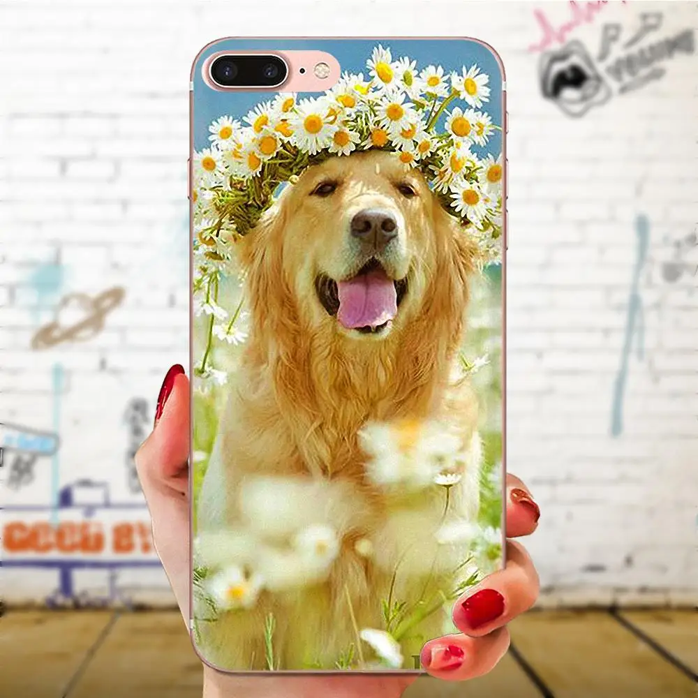 Мягкий узор для Apple iPhone 4 4S 5 5C 5S SE SE2 6 6S 7 8 11 Plus Pro X XS Max XR головы носить цветы Ежик
