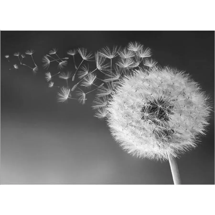 

Diamond Painting Full Square Diamond "Dandelion"3D Embroidery Cross Stitch Rhinestone 5D DIY Mosaic black white art decor BY1373