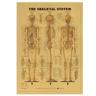 Винтажный медицинский постер скелетная система, декоративные наклейки для комнаты, настенное украшение, Крафтовая бумага, домашний декор, настенные наклейки-постеры