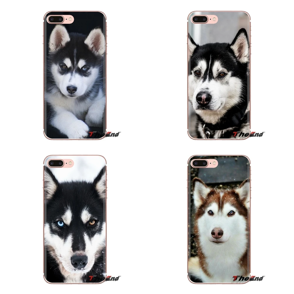 For Huawei P Smart Y6 P8 P9 P10 Plus Nova P20 Lite Pro Mini 2017 SLA-L02 SLA-L22 2i Transparent TPU Cases Covers husky puppy dog |