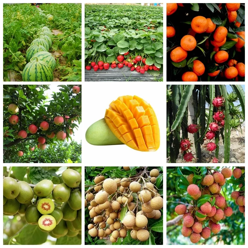 Фруктовое специальное удобрение дополнительное питание растений регулятор