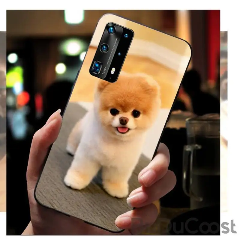 

CUCI Pomeranian dogs dog Phone Case for huawei p30 lite pro p20 lite p10 p smart plus z 2019 2018 cover