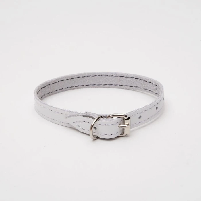 Single-layer leather collar 25 x 1.2 cm white 1173190 goods for animals Collars Harnesses Leads Dog Supplies Pet Products Home Garden | Дом и