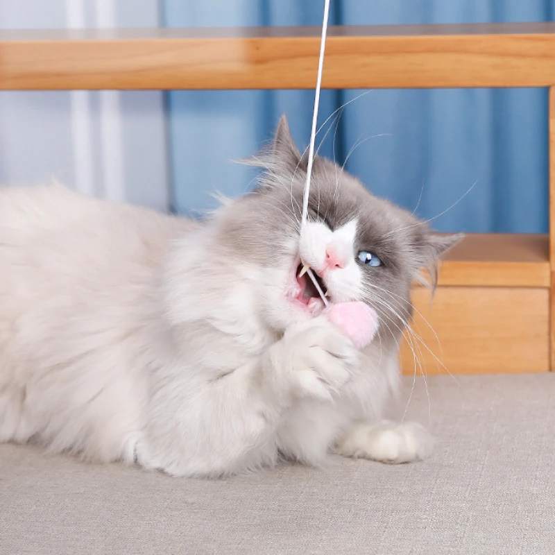 

44CM Three-in-one Replaceable Head Funny Cat Stick Cute Funny Rod Teaser Wand Plastic Pet Toy for Cat Interactive Stick Cat Toys