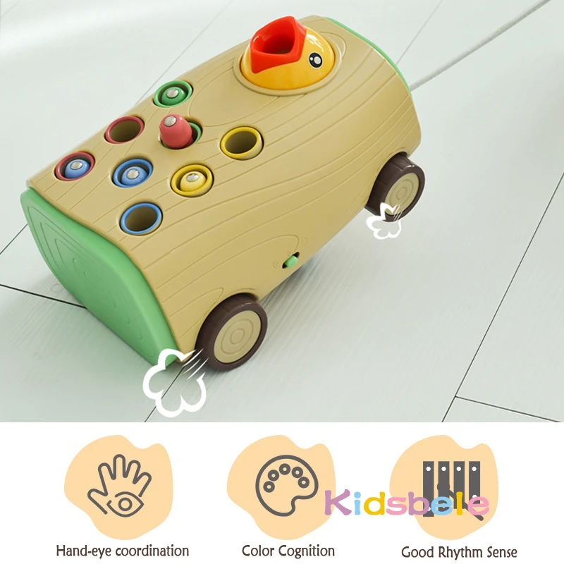 game knocking feeding toys toddler magnetic bird catch bugs pulling car musical woodpecker 5 in 1 function early educational toy free global shipping