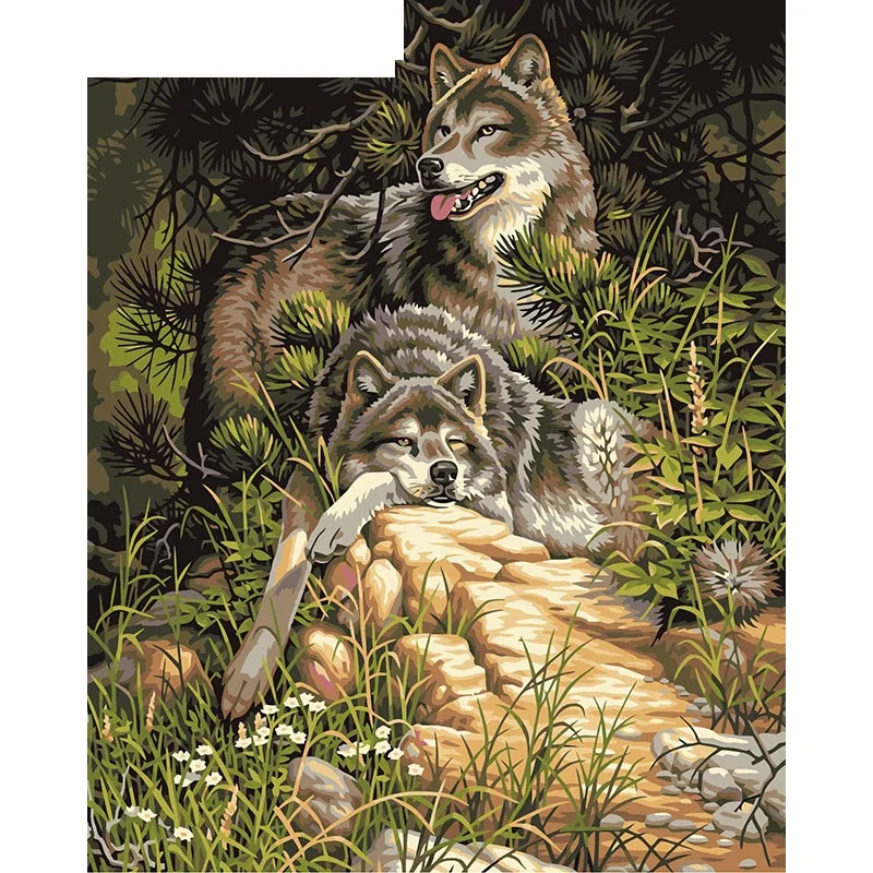 Two Wolves Paint By Numbers Coloring Hand Painted Home Decor Kits Drawing Canvas DIY Oil Painting Pictures By Numbers