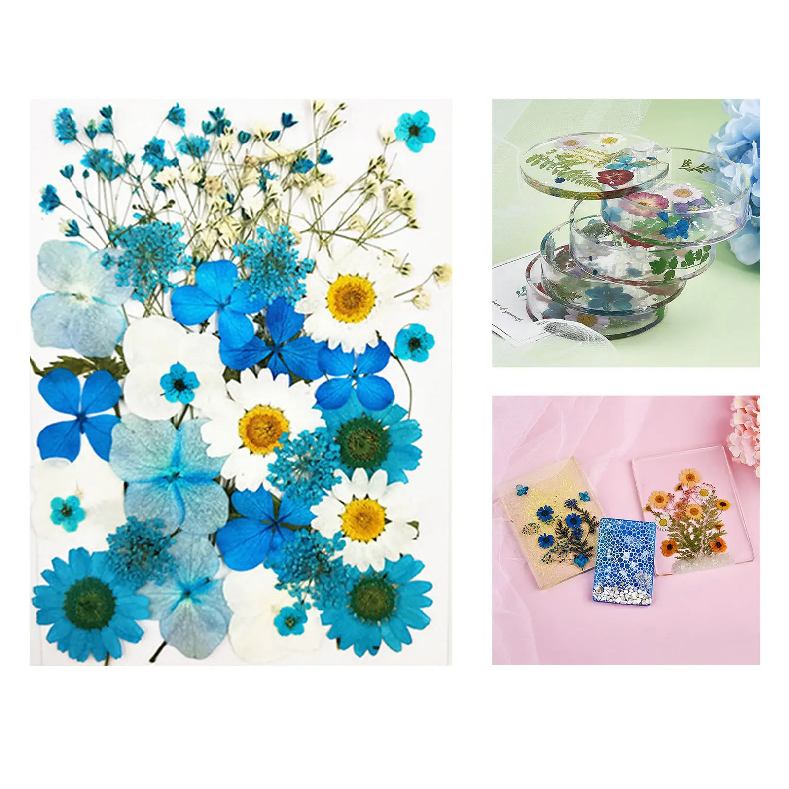 Настоящие натуральные бриллианты прессованные цветы листья лепестки для