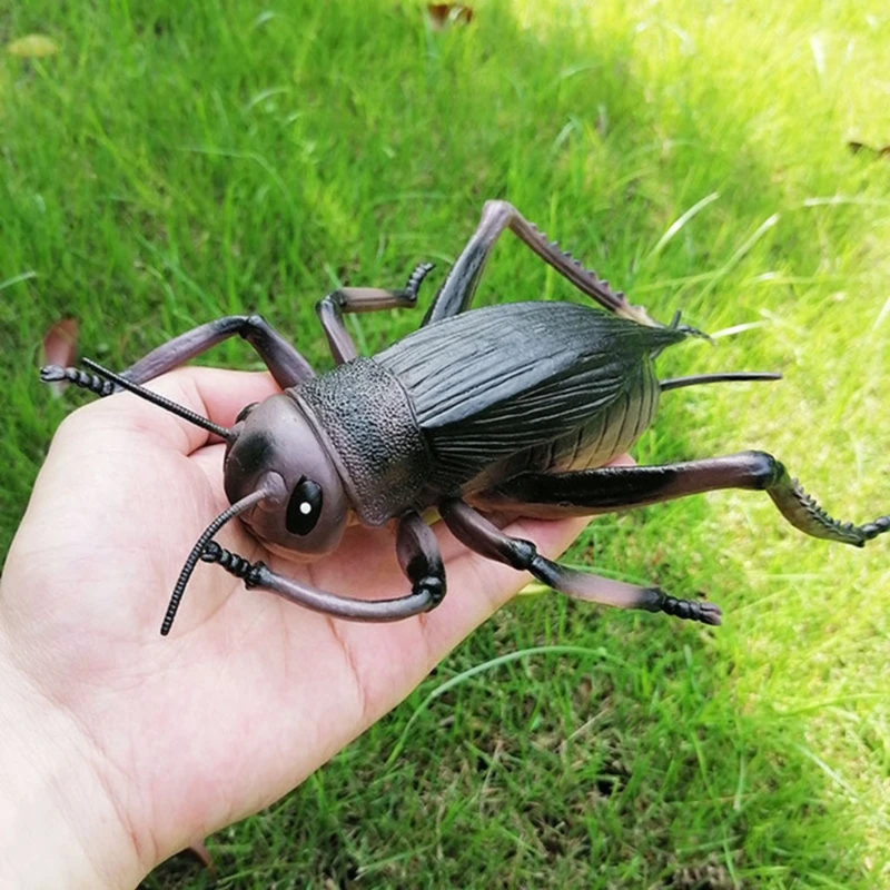 

Simulation Wildlife Model Ornaments Realistic Insect Figure Children Educational Props Scene Decoration Kids Learning