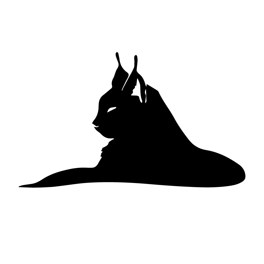 

Новый дизайн, Популярная автомобильная наклейка, оболочка автомобиля, наклейка, стикер для кузова автомобиля, аксессуары, 12x20 см