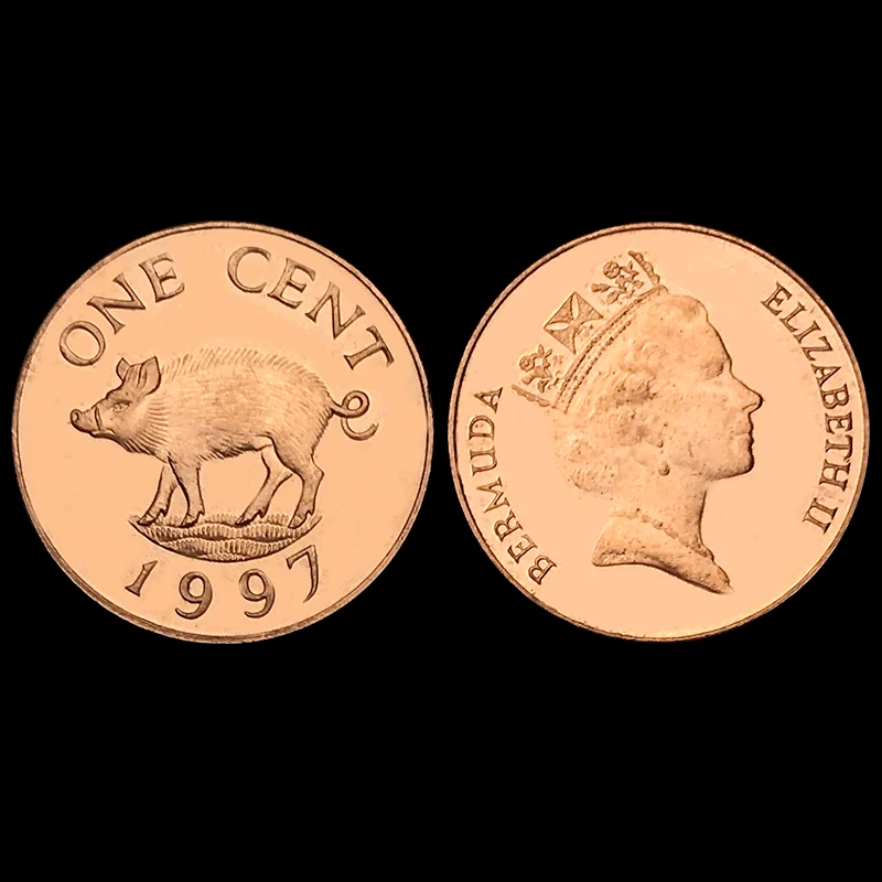 Свинка с монетами. Латинские манета 1. Аргентина монета со свиньёй. Свинья монеты