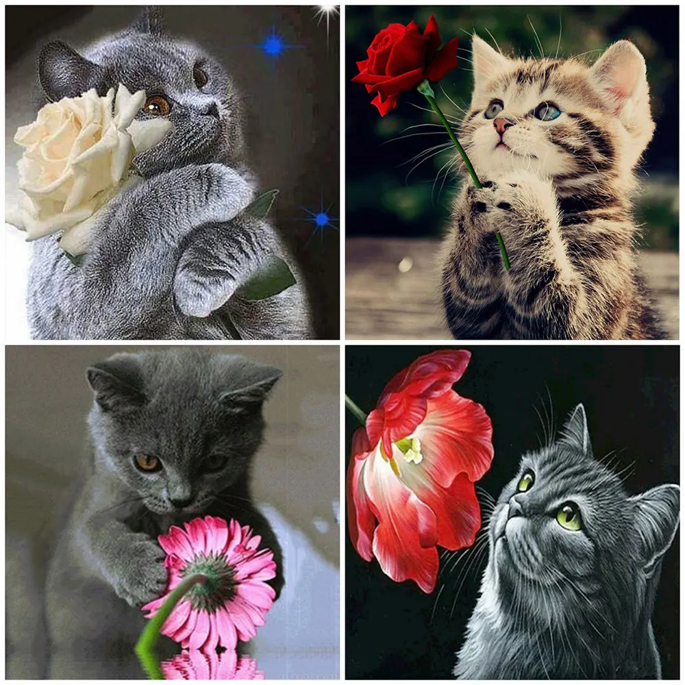 

MomoArt 5D DIY алмазная живопись кот Вышивка крестом искусственное животное вышивка Мозаика Цветок Новое поступление Настенный декор