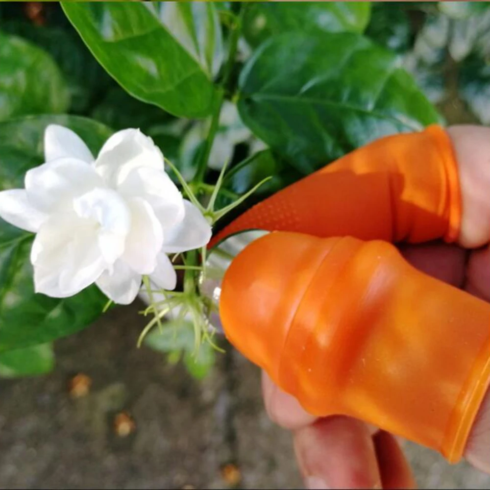 Сельскохозяйственный Овощной выбор фруктов er pick le Pepper Tip железный гвоздь