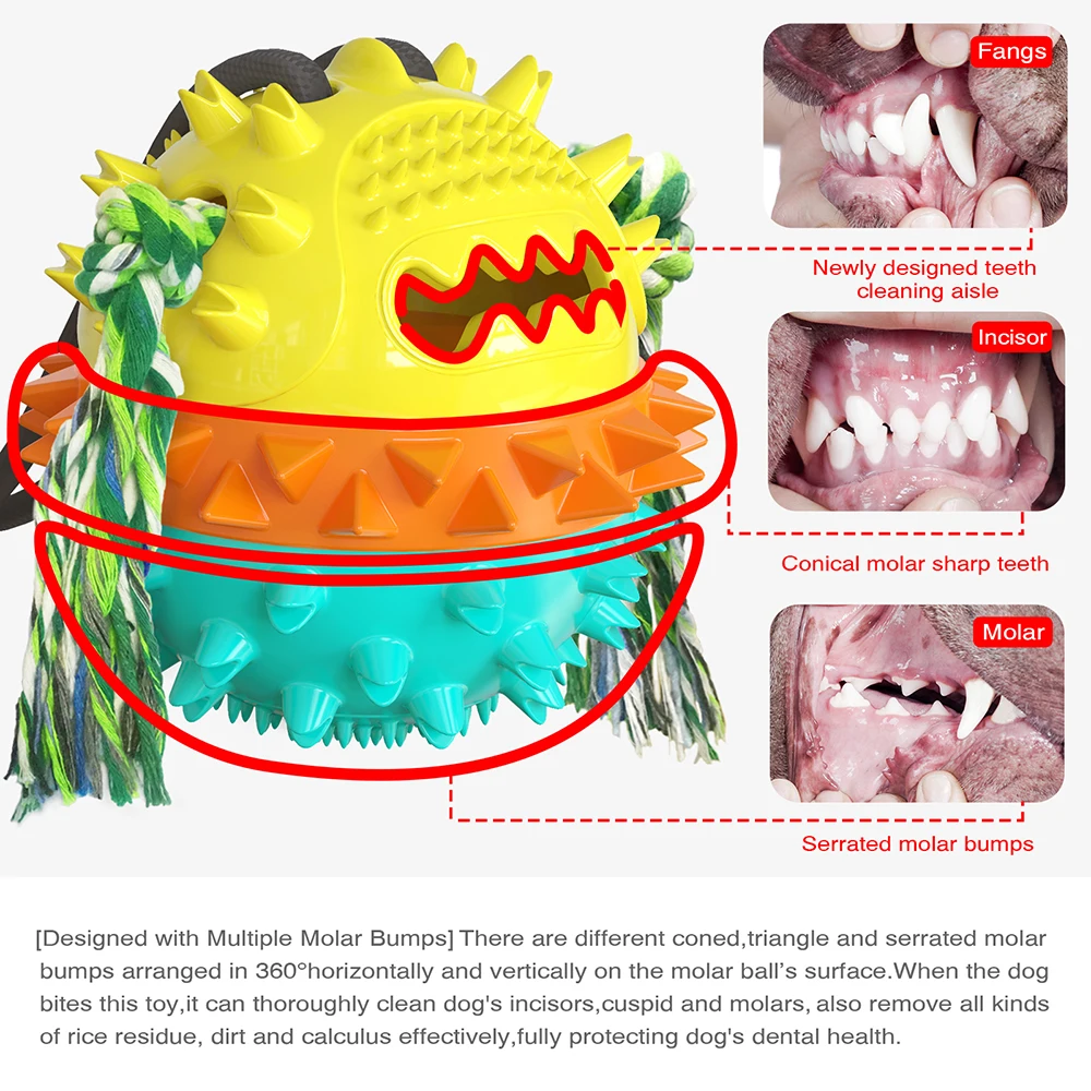 

Duoble Dog Ball Molar Bite Resistant with Large Suction Squeaky Toys for Dogs Interactive Dog Toys Pet Products Dropshippping