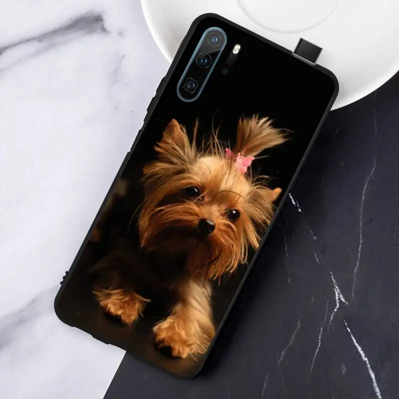 

Mini Yorkshire Terrier Dog cute animal coque cover funda Phone Case For Huawei honor Mate P 10 20 30 40 Pro 10i 9 10 20 8 x Lite