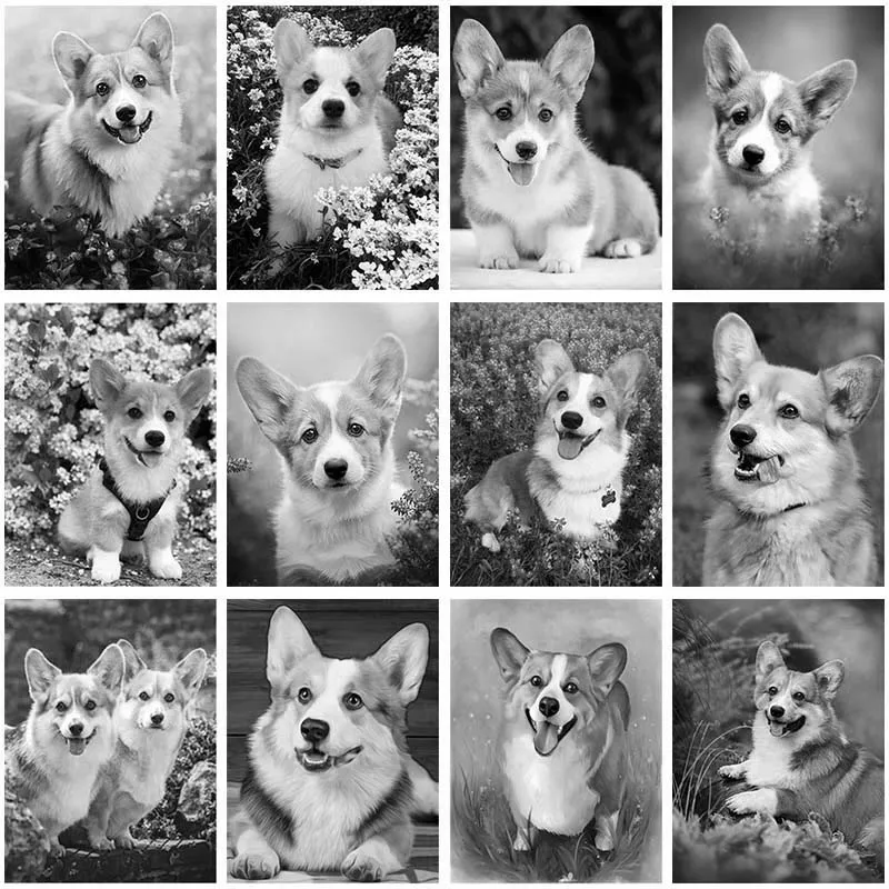 Черно-белая Алмазная картина с корги сделай сам 5D алмазная Вышивка крестиком