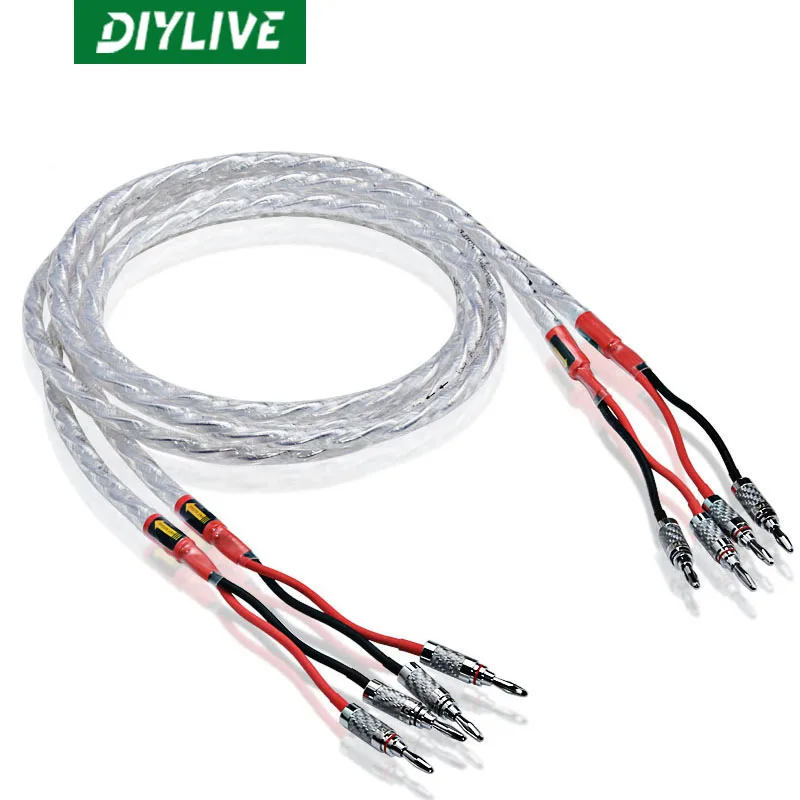 

A pair of DIYLIVE HIFI silver-plated speaker cables for sound systems high-end 6N OCC speaker cab0les 5m 8m10m