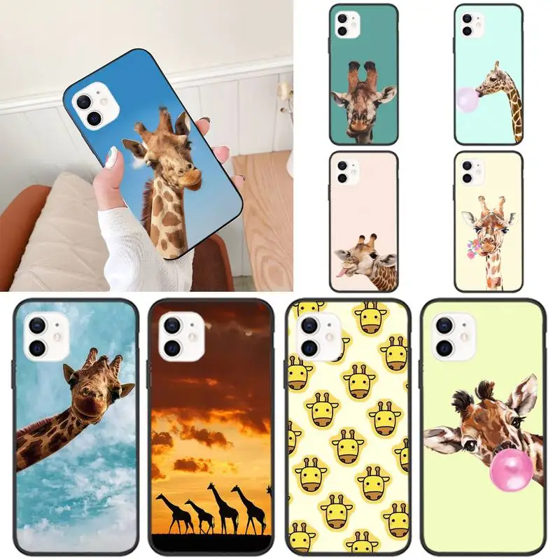 Чехол для телефона с изображением жирафа iPhone 11 12 Mini 13 Pro XS Max X 8 7 6s Plus 5 SE XR - купить по