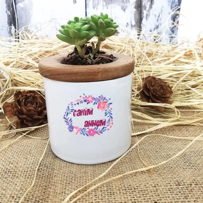 

Уважаемая мама, дизайн под заказ, живите в горшках Sukulent -2