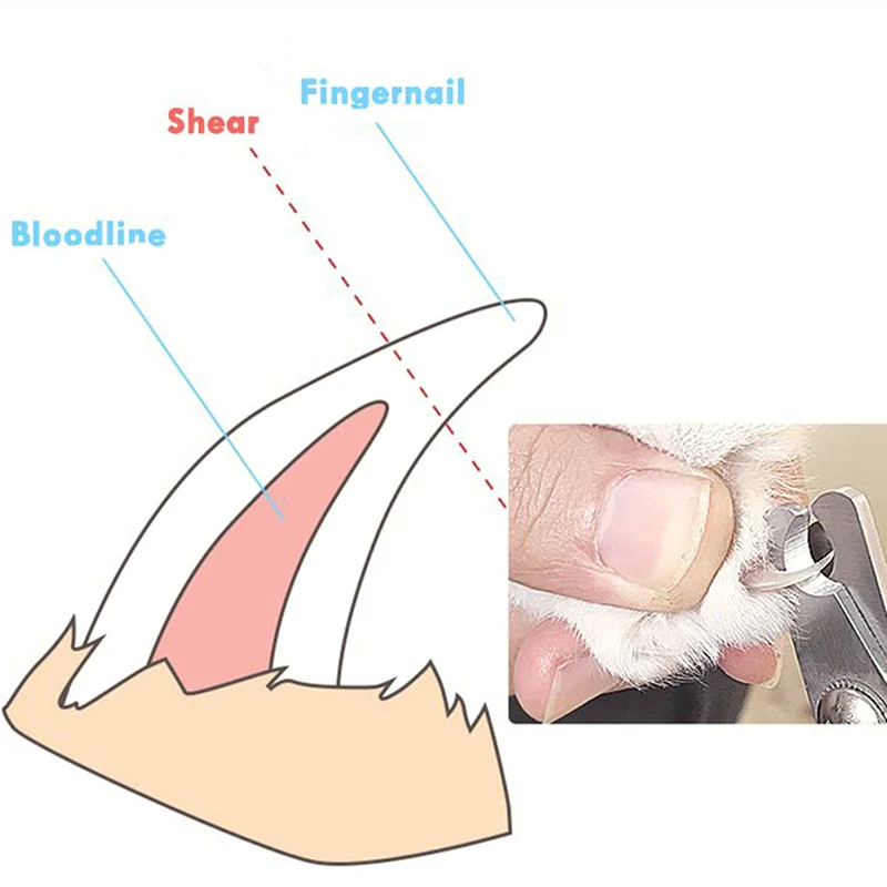 

Pet Cat Dog Nail Clipper Cutter Stainless Steel Grooming Scissors Clippers Claw 10*6.5cm For Home Pets Use Hot Sale New 2021