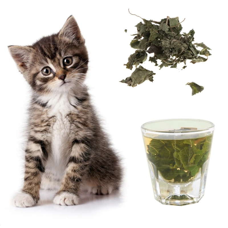 

Natural Silvervine Leaves Cat Catnip Dried Polygonum Matatabi Toys Flavor Snacks K3NA