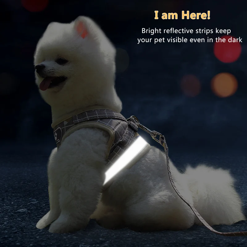 Шлейка с поводком для собак и кошек регулируемая дышащая в клетку | Дом сад