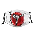 Неодноразовая маска для лица Karate Shotokan Kyokushin с фильтром, защита от ветра, холода, из полиэстера, защитная маска