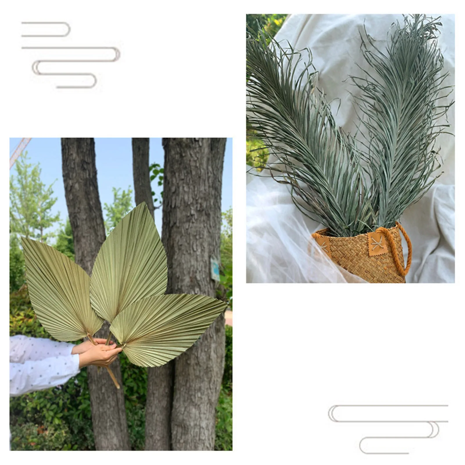 Веер для пальмовых листьев декор высушенного кошачьего хвоста подсолнуха