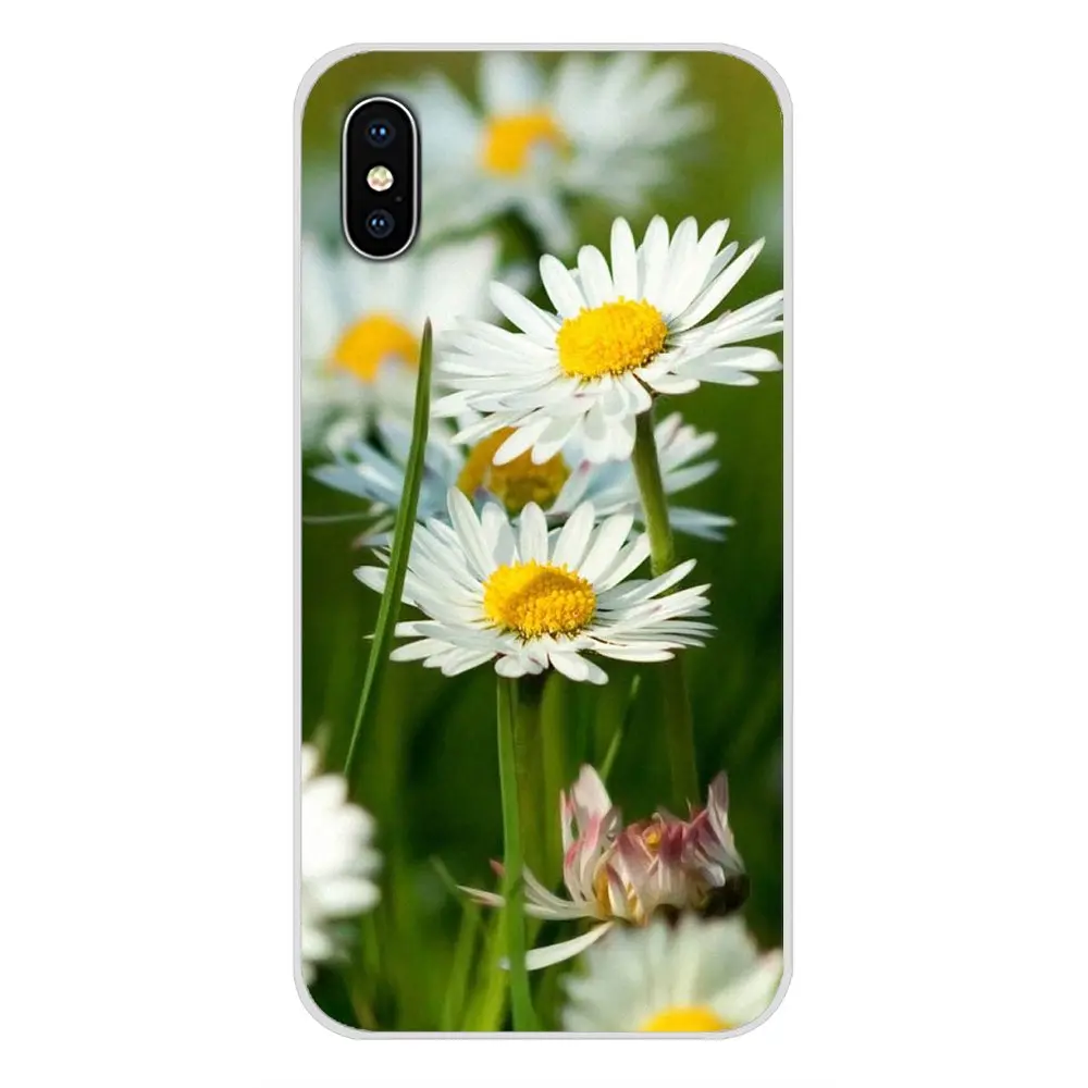 Чехол для мобильного телефона Apple iPhone X XR XS 11Pro MAX 4S 5S 5C SE 6S 7 8 Plus ipod touch 5 6 Красивые