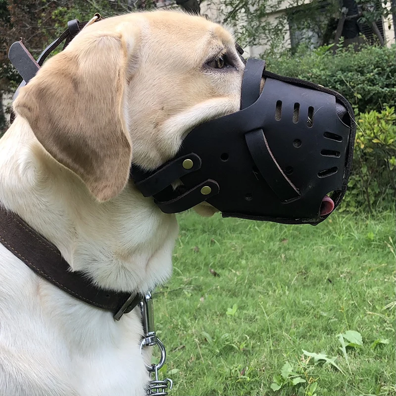 Смешная короткая морда Грейхаунд намордник домашний кожаный бульдог большой
