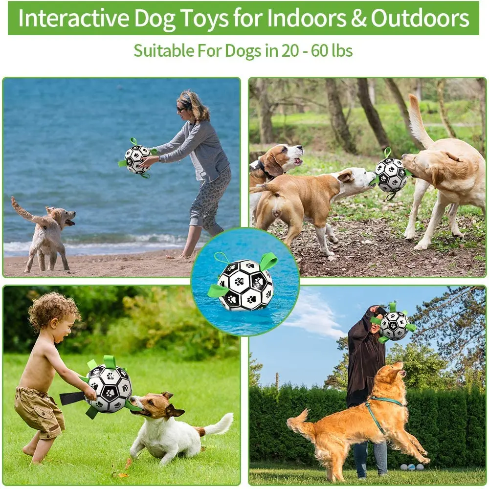 Soccer And Inflator Football Toy For Dogs To Play Image