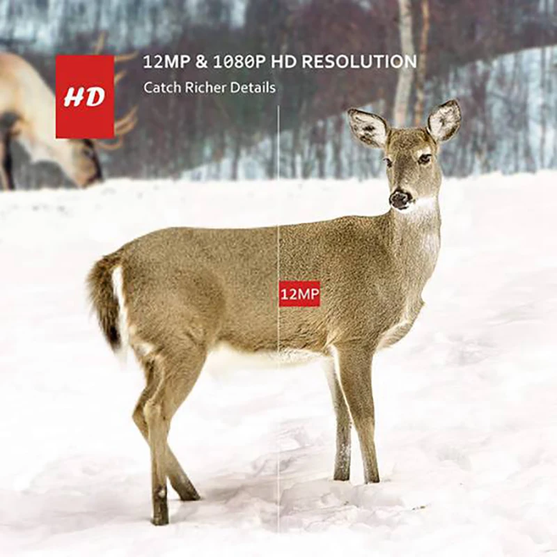 

Hunting Camera 12MP Outdoor Waterproof PIR Infrared Night Vision Tracking Reconnaissance Game Camera+32G Memory Card