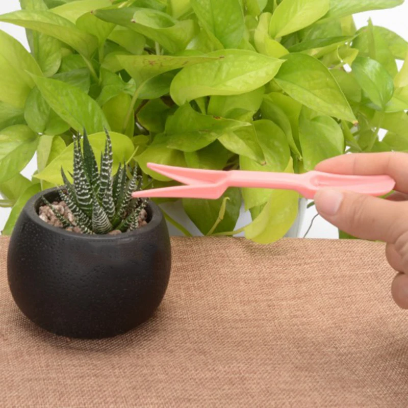 Садовый набор для растений сделай сам посева суккулентов саженцев инструмент