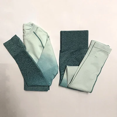 Blue Ombre бесшовный комплект из 2 предметов, комплект для йоги, женский спортивный костюм, одежда для спортзала, тренировок, с длинным рукавом, для фитнеса, укороченный топ и резинки, попки, леггинсы - Цвет: Blue