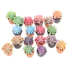 Миниатюрные Мини-горшечные растения для кукольного домика 1:12, модель суккулента, имитация мебели, игрушки, аксессуары, 5 шт.