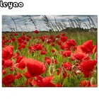 Алмазная 5D картина стразы, картина с цветами, маком, травой, полная выкладка из круглых страз, мозаика для домашнего декора, подарок