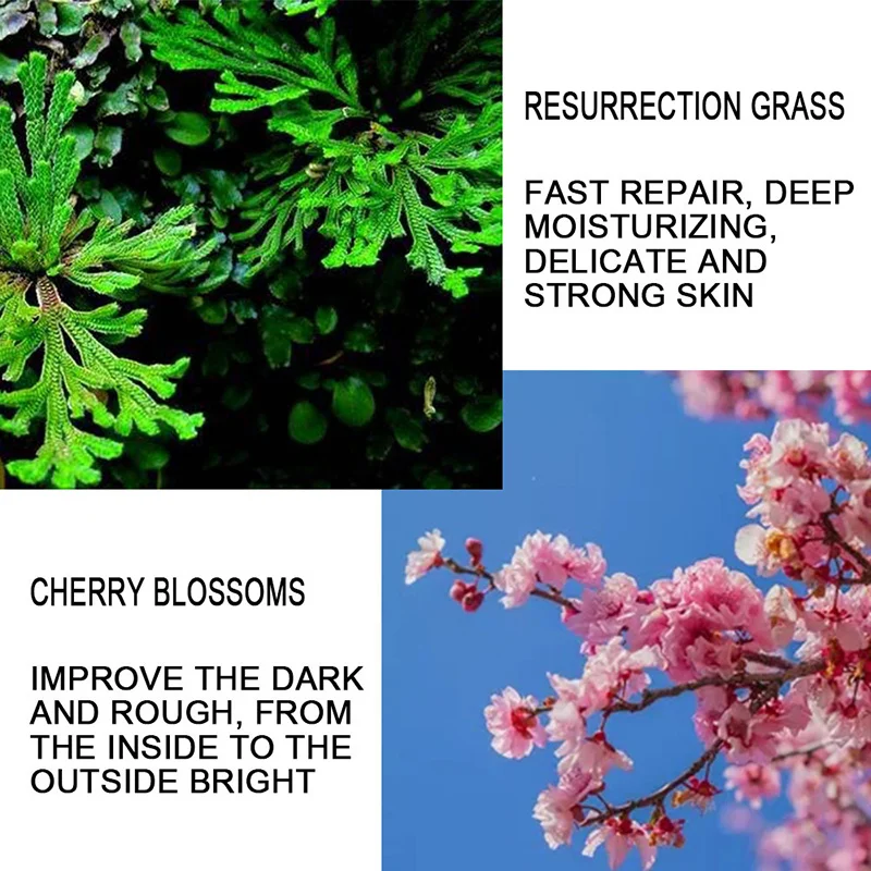 

High Quality Resurrection Grass Smearing Style Whitening Moisturizing Face Cover Anti-Aging Face Pore Care