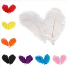 Страусиные перья, 10 шт.лот, 15-20 см