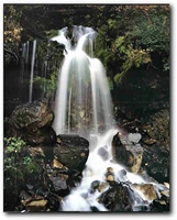 waterfall and stream in the tropical forest scenery wall decor art print poster