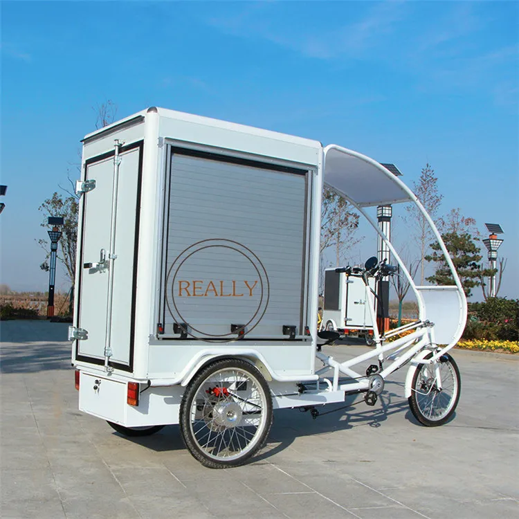 6 Speed Hydraulic Disc Brakes Large Cargo Box Urban Last Mile Delivery Trikes Electric Tricycle | Food Processors