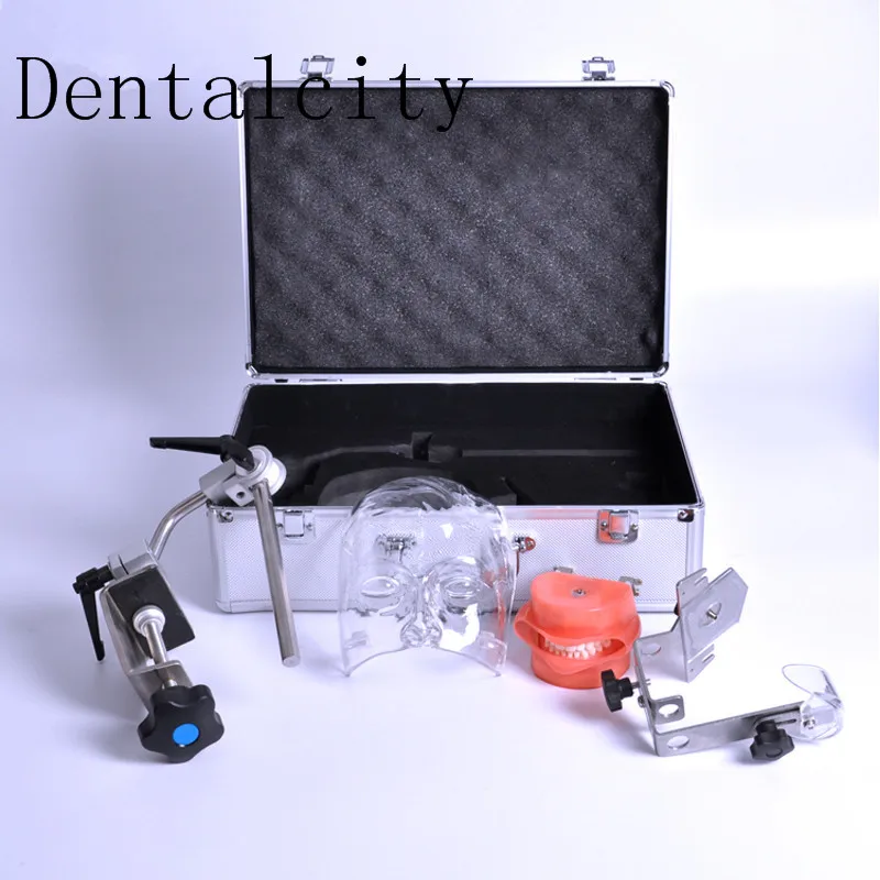 Стоматологическая лампа с типограммой/Стоматологическая заменяемыми зубами