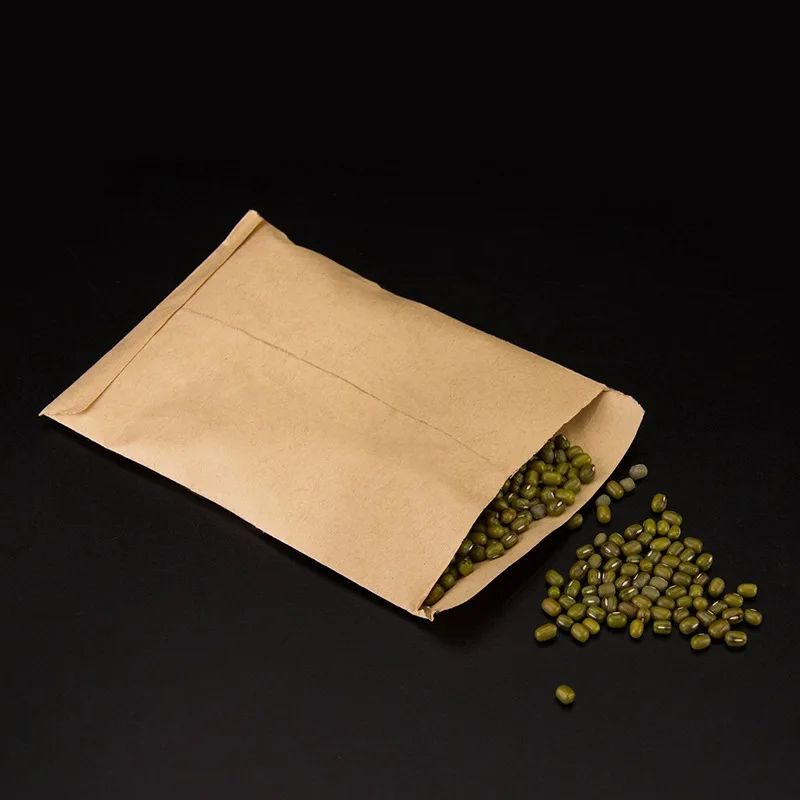 100PCS/Set Envelopes Kraft Paper Bags Mini Coin Packets Envelopes for Home and Garden Use 2 Size