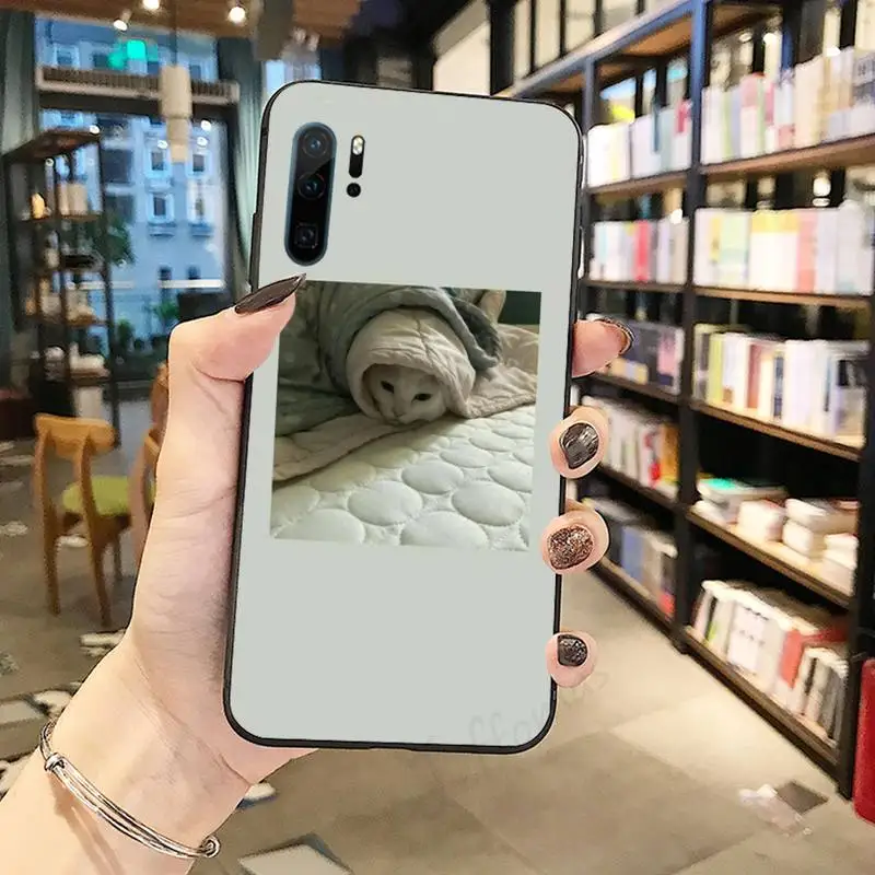 

Cute Cats Phone Case Funda For Huawei P9 P10 P20 P30 Lite 2016 2017 2019 plus pro P smart