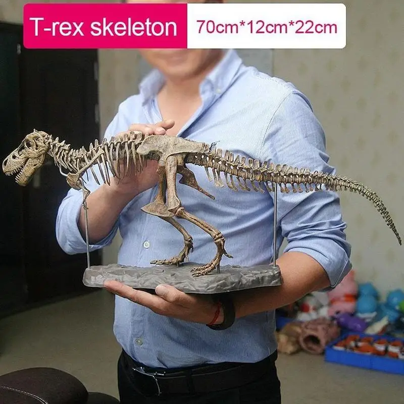 70cm 4D Tyrannosaurus Rex Excavation Science Kit Dig Up Dinosaur and Assemble Skeleton Ancient Animal Fossil Skull images - 6