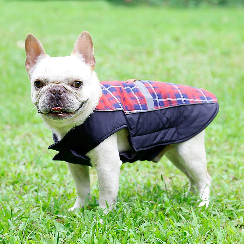 Ветрозащитная жилетка для собак куртка чихуахуа французская одежда бульдога