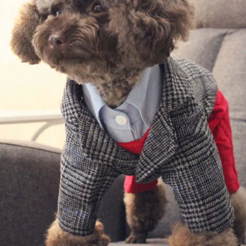 Собака Свадебная Торжественная одежда для детей домашних животных собак Одежда