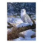 Белая сова снежный лес Алмазная картина круглая полная дрель Nouveaute DIY мозаика вышивка 5D Вышивка крестиком птица животный узор