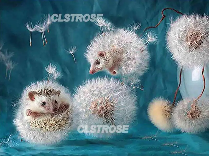 

Diy Diamond Painting Home Decoration Animal Like Dandelion Hedgehog Wall Art Handmade Gift Stickers Diamond Embroidery