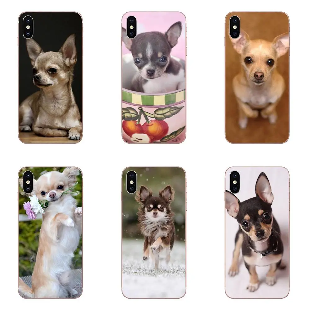 Все что вам нужно это собака породы чихуахуа щенков для Huawei Honor Nova Примечание 5 5I 8A