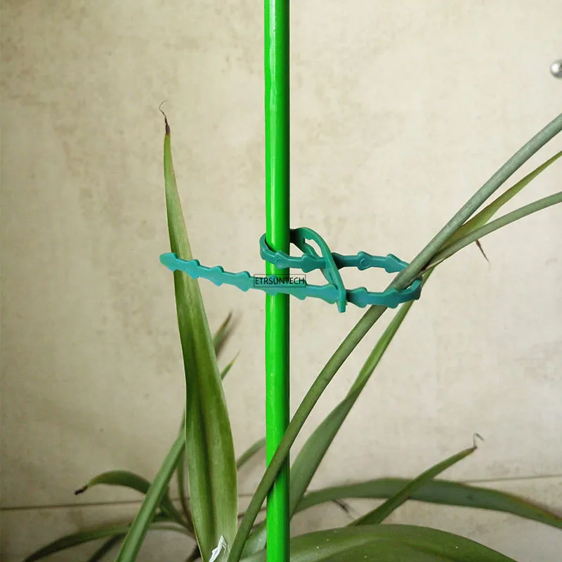 

400 шт. зажимы для растений садовые зажимы инструмент многоразовые пластиковые опорные зажимы для шпагат для теплицы Садоводство инструмент...